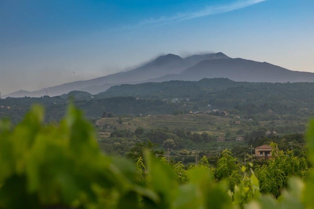 Mount Etna volcano rising above Sicilian vineyards in the contrada wine region